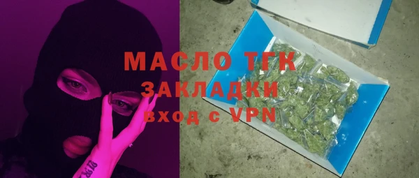 хмурый Арсеньев