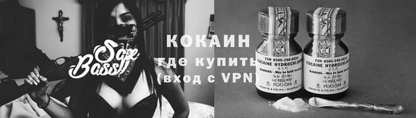 хмурый Арсеньев