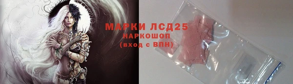 хмурый Арсеньев