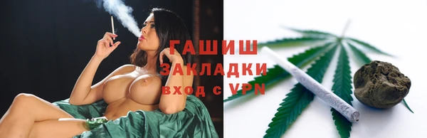 хмурый Арсеньев