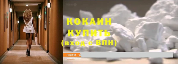 хмурый Арсеньев