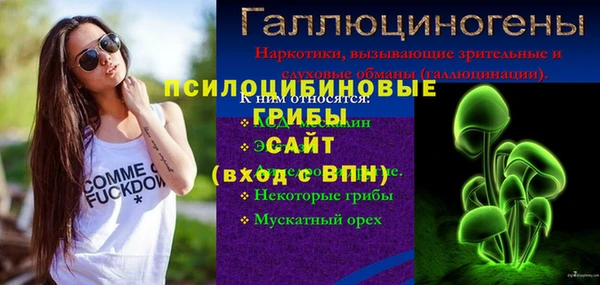 хмурый Арсеньев